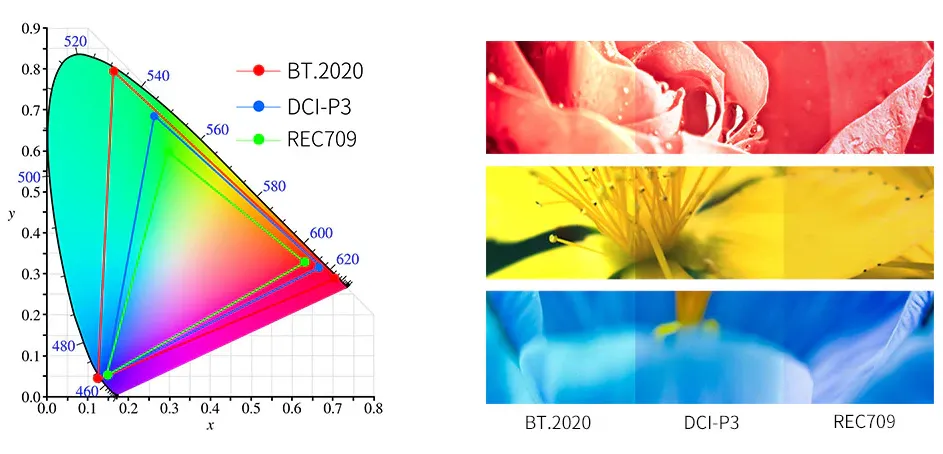 Сравнение восприятия цветового пространства: Человеческий глаза, BT.709, DCI-P3 и BT.2020